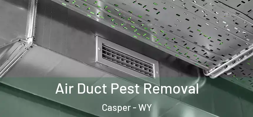  Air Duct Pest Removal Casper - WY