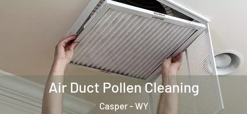  Air Duct Pollen Cleaning Casper - WY