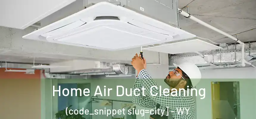  Home Air Duct Cleaning (code_snippet slug=city] - WY