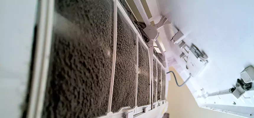 Preventive Air Duct Bacteria Removal in Casper