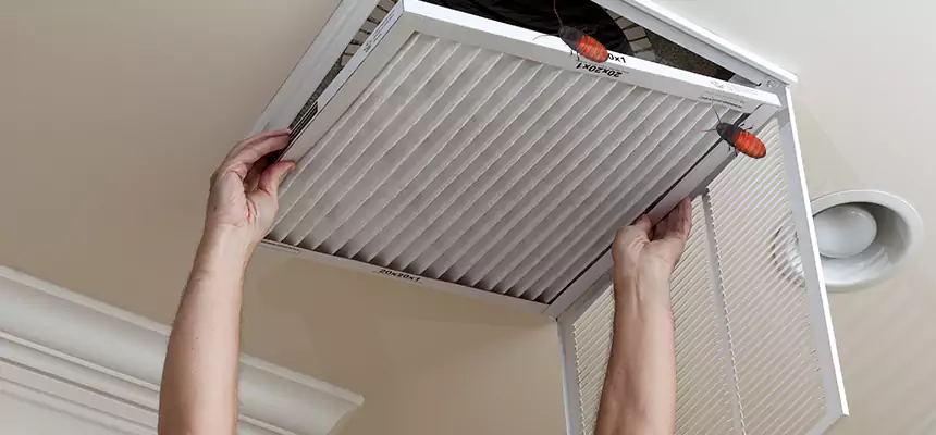 Preventive Cockroach-Proofing for Ducts in Casper