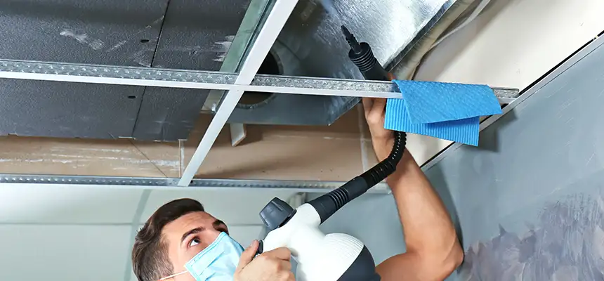 Our Air Duct Rodent Removal Services in Casper, WY