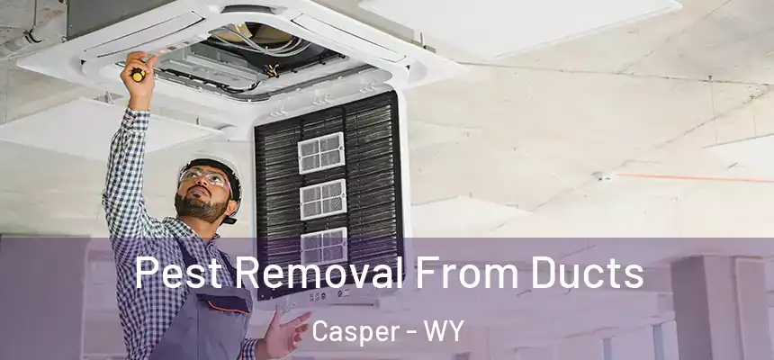  Pest Removal From Ducts Casper - WY