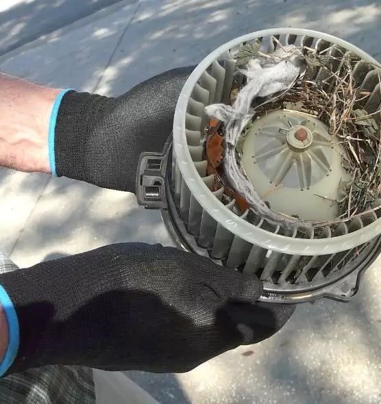 About Air Duct Mice Removal in Casper, WY