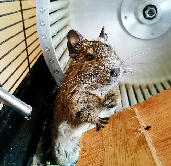 Why Homeowners & Businesses Trust Us Casper, WY