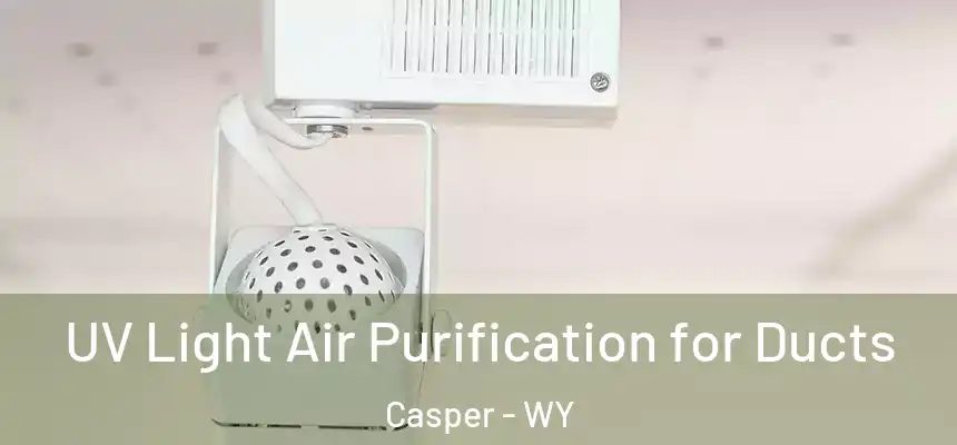  UV Light Air Purification for Ducts Casper - WY